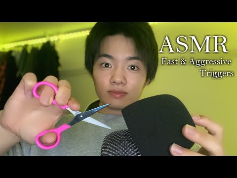 NO TALKING ASMR | Fast and Aggressive Triggers | Unpredictable 【cutting,hand sounds,lid,scratching】
