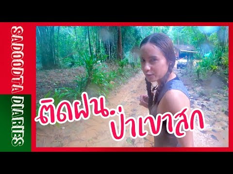 สะดุดตาเที่ยวป่า เขาสก สุราษฎร์ธานี | Sadoodta