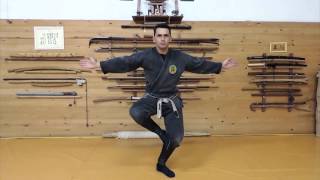 Ninjutsu Bujinkan - Kurai Dori (Koto Ryu Koppô Jutsu)