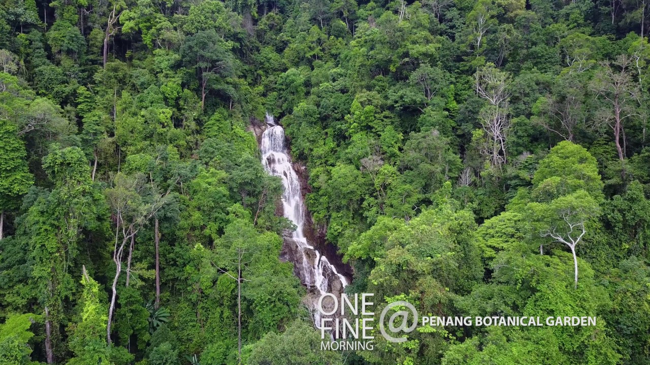 Penang Botanic Garden Youtube