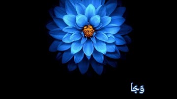 قرأن راحة نفسية💙| ستوريات قران كريم | قرآن حالات واتس اب 🌼| ستوريات انستغرام قران | مقاطع قرأن قصيرة