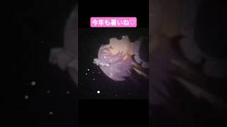 今年も暑いね♡ #アニメ #バズ #おもしろ #あるある #バズ #恋愛 #Shors #えっど