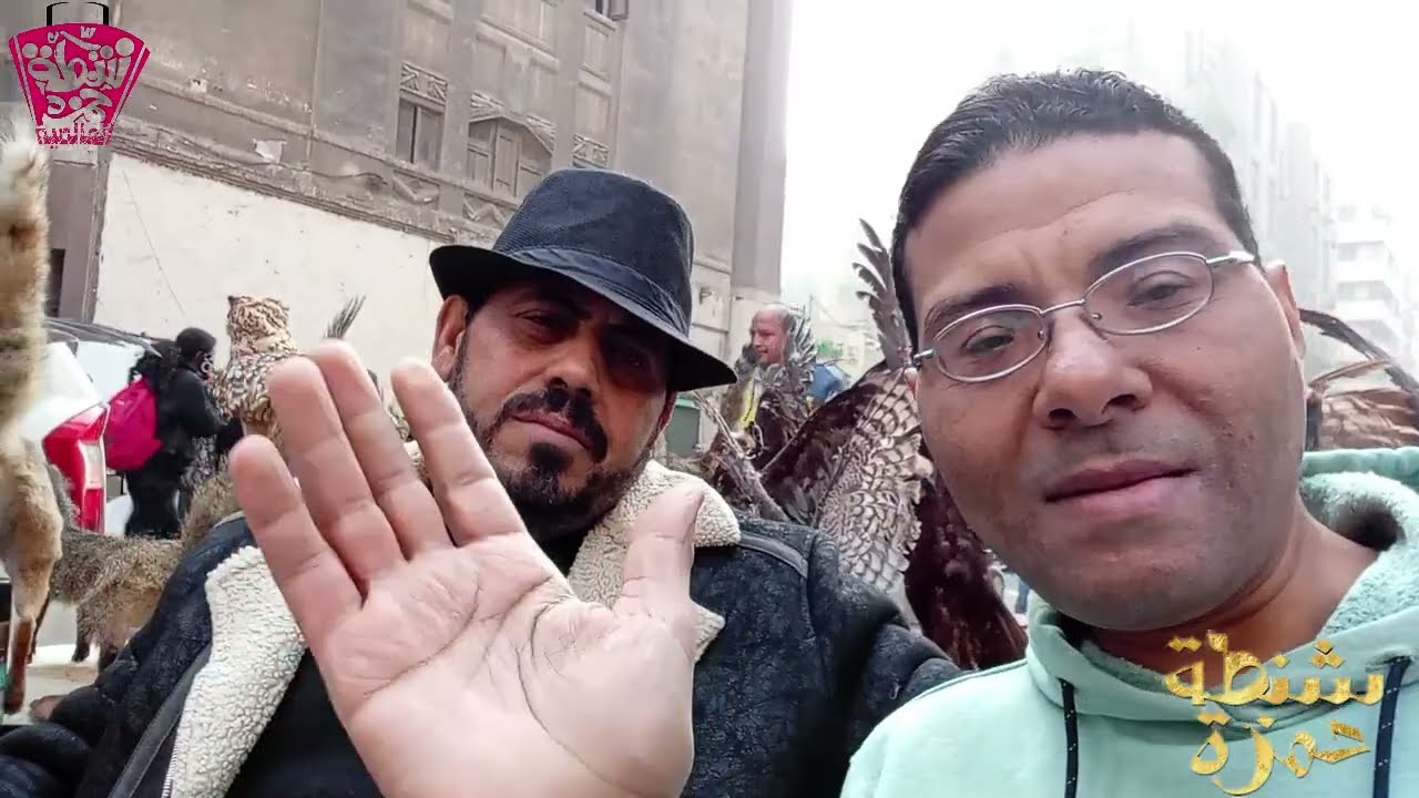 سوق السبت للانتيكات بشارع 26 يوليو وسط البلد