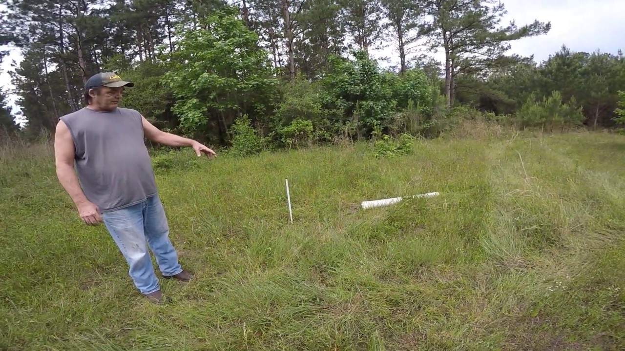 Putting out the Hog Log