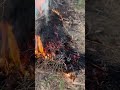 Panas membara.. Api membakar ilalang..
