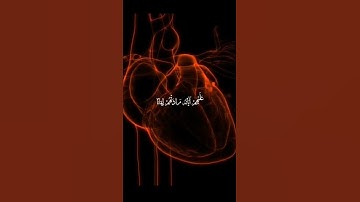 #عبدالباسط_عبدالصمد#تلاوة #القرآن_الكريم#تلاوة_خاشعة #قرآن #تلاوات #quran #القرآن #ايات_قرانيه_قصيره