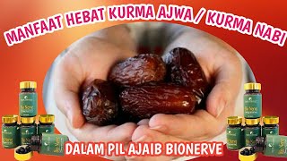 Manfaat kurma Ajwa / Kurma Nabi yang ada dalam Pil Ajaib BIONERVE