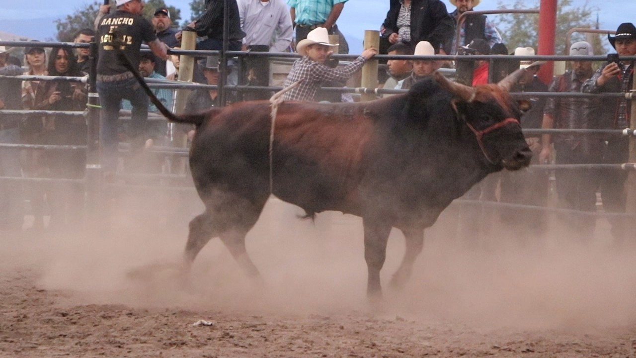 🔴 TORNEO NACIONAL REY DE MÉXICO en Vivo 🔴 Quinta Eliminatoria Tepetlixpa EdoMex 1 febrero 2026