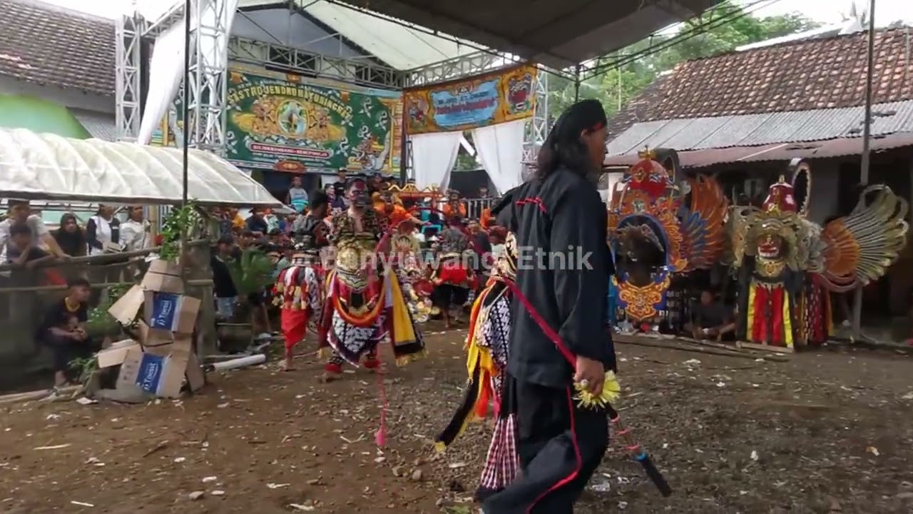 Atraksi Memukau! Jaranan Joyo Santoso Mulyo Sampurno Banyuwangi di Hajatan Gendoh