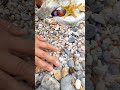 Gem stones from the canyon #outdoors。 diamonds and gold