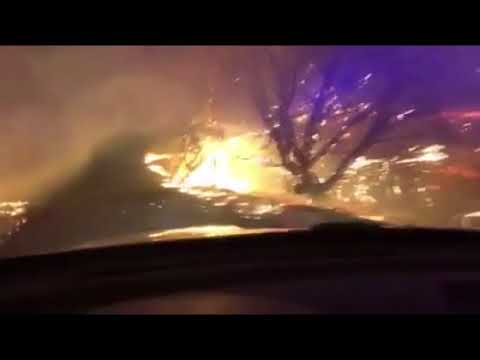 Sonoma County sheriff's deputy drives through heart of fire