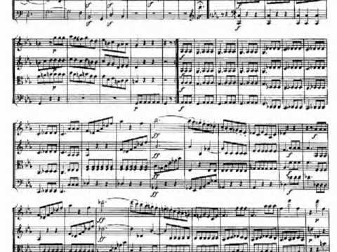 Beethoven String Quartet in E-flat major, op. 74 -...