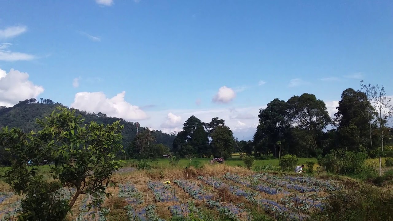 Pemandangan desa yg indah 