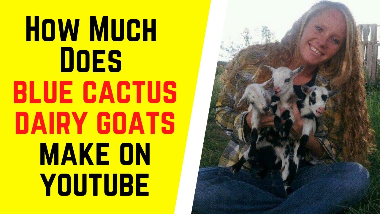 How Much Does Blue Cactus Dairy Goats Make On YouTube YouTube