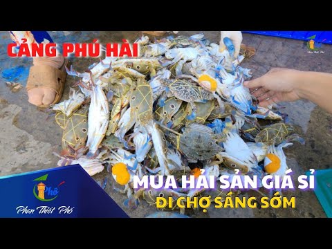 Video Đi chợ sớm , dạo quannh Cảng Phú Hài nơi mua hải sản... - youtube