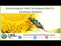Pantheon Analysis - Entomological Field Techniques (Part 2)