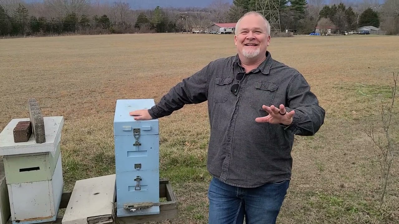 Why I love Russian bees with Joe the Bee Whisper.