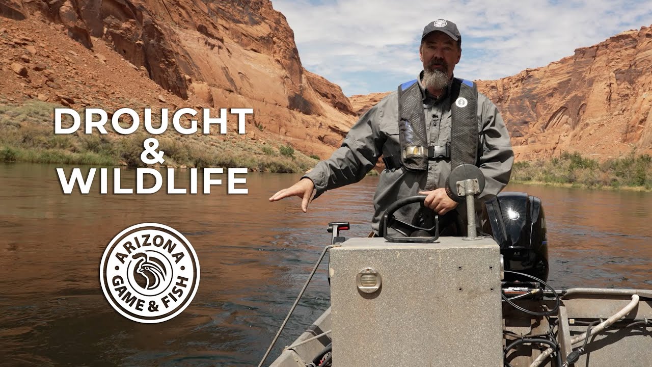 Helping Wildlife During Severe & Long-term Drought