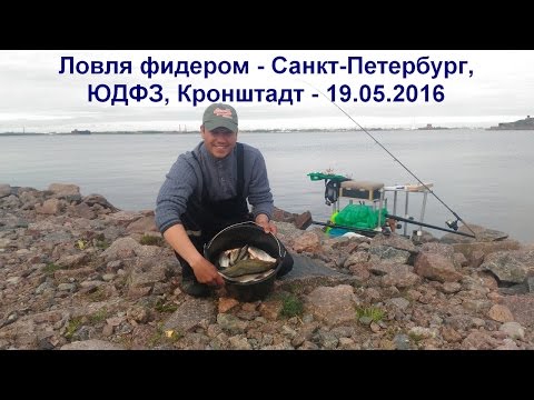 ловля лосося в санкт-петербурге