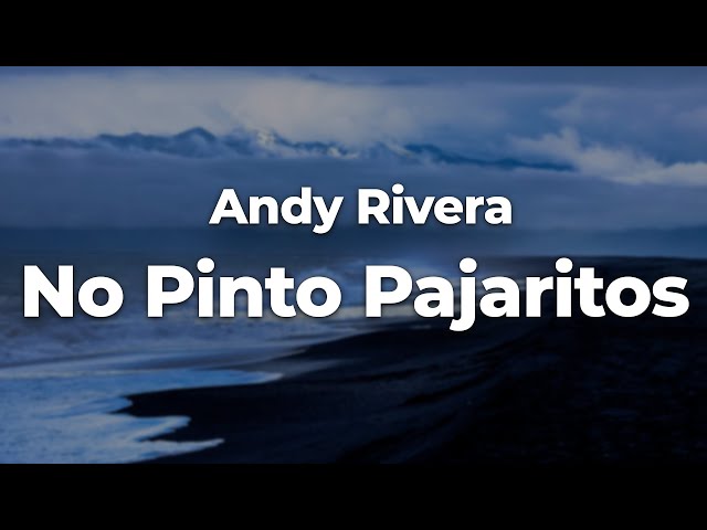 Andy Rivera - No Pinto Pajaritos (Letra/Lyrics) | Official Music Video class=