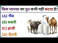 Interesting Gk 📖 Questions || Samanya Gyan Quiz || rsr gk study || 28