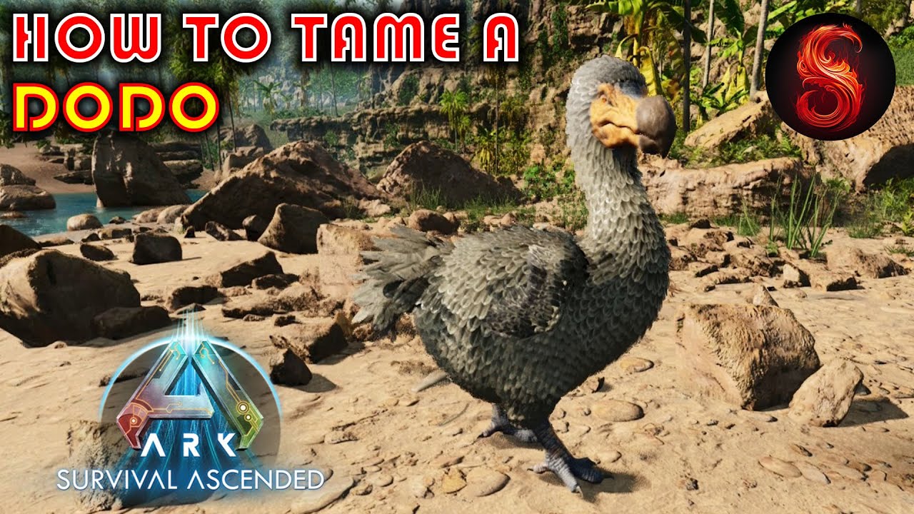 Dodo  ARK: Survival Evolved
