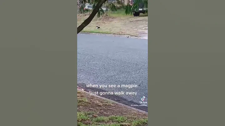 RUN!!!
