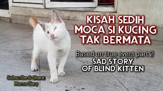 KISAH MOCA ANAK KUCING BUTA MENGHARUKAN | BASED ON TRUE STORY OF A BLIND KITTEN MOCA