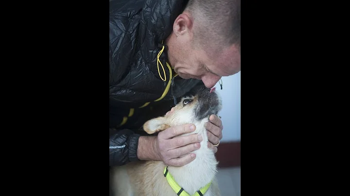 Dion Leonard and Gobi's story of love, courage and...