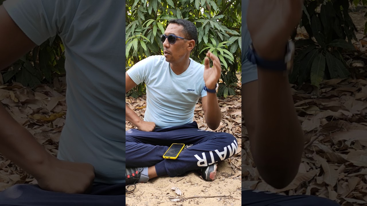 اهم النقاط المطلوب عملها الان .  الاخطاء الشائعه والممارسات السليمه لأشجار المانجو