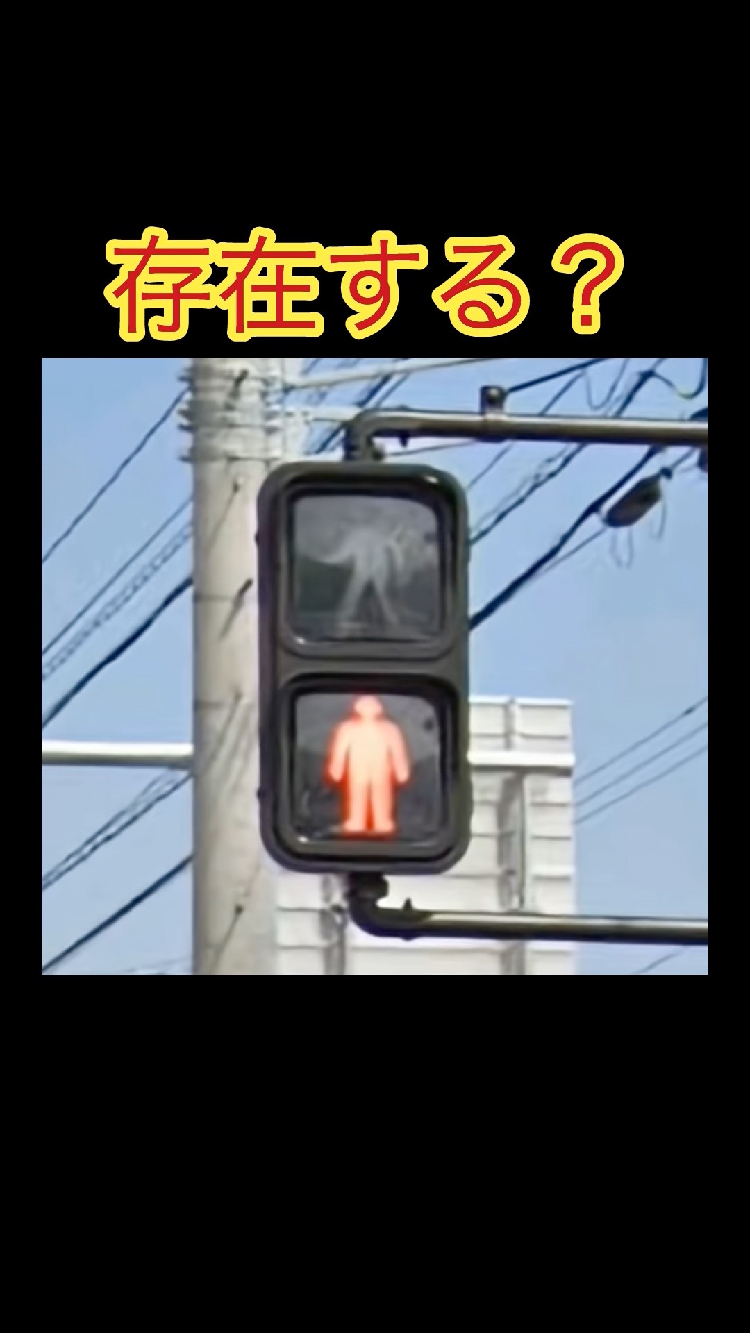 Q】存在しない信号機を見つけろ‼︎#信号機 #レア信号機 #雑学 #クイズ