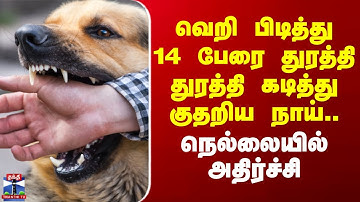 Nellai | Dog | வெறி பிடித்து 14 பேரை துரத்தி துரத்தி கடித்து குதறிய நாய்.. ஓனர் மீது பாய்ந்த வழக்கு
