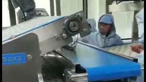 SINOBAKE Auto Soft & Hard Biscuits Production Line