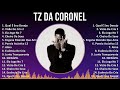 Tz da Coronel 2024 MIX Grandes Exitos - Qual É Seu Desejo, Vizão De Cria 2, Ela Joga No 7, Cheir...