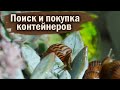 САМЫЙ ДОРОГОЙ ВИД В МОЕЙ КОЛЛЕКЦИИ | ПОЕЗДКА В АШАН И ОБИ | COCHLITOMA ZEBRA