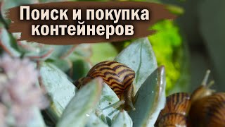 САМЫЙ ДОРОГОЙ ВИД В МОЕЙ КОЛЛЕКЦИИ | ПОЕЗДКА В АШАН И ОБИ | COCHLITOMA ZEBRA