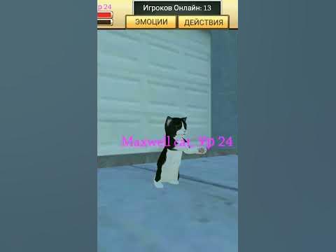 Максвелл кот Maxwell the cat - YouTube