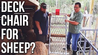 What is a Sheep Deck Chair? | Small Sheep Farming | Premier 1 Supplies