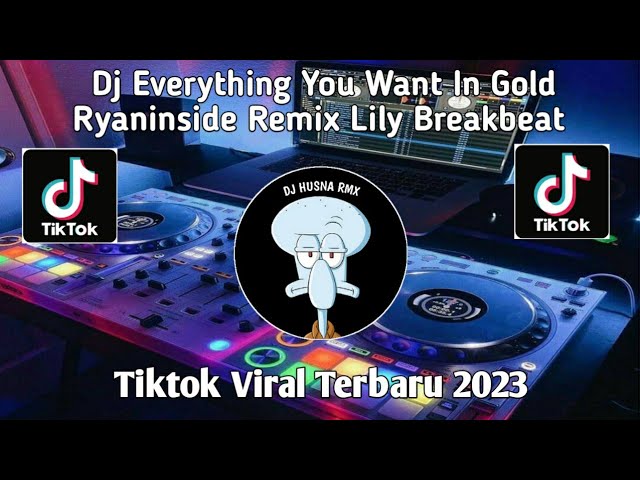 Dj Everything You Want In Gold- Ryaninside Remix Lily Breakbeat  Viral Tiktok 2023 class=