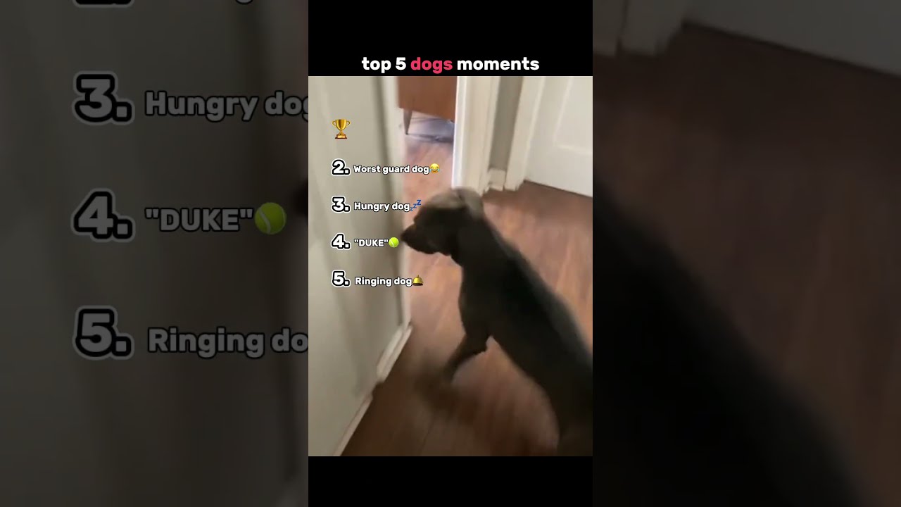 Don T Click The Sound Please 