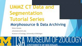 Celebrity UMMZ CT Data & Segmentation Tutorial Series - Episode 4 Profile