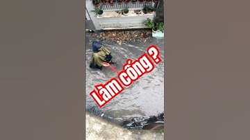 Làm cống thoát nước dữ chưa ? #shorts #trending #fyp #viral