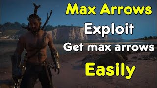 Max Arrows Exploit After patch 1.2.0 - Assassins Creed Valhalla screenshot 3