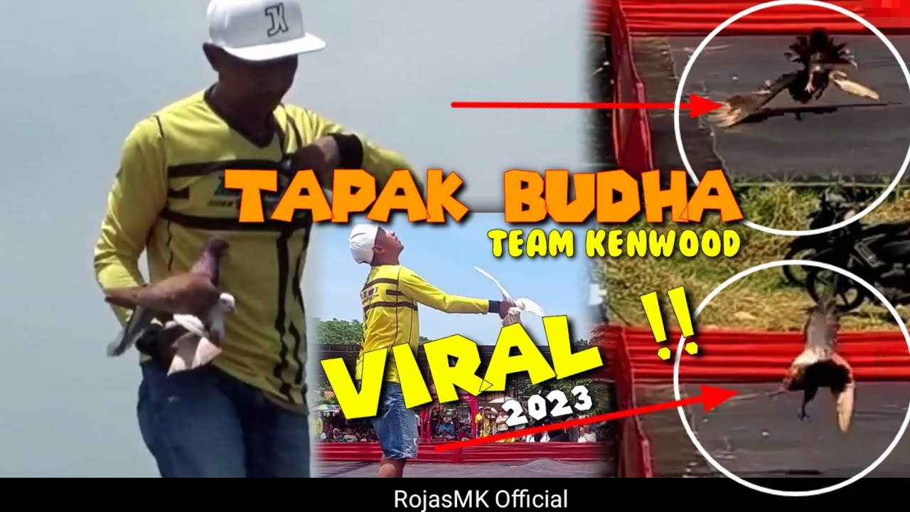AKSI TAPAK BUDHA TEAM KENWOOD OVER CC LOSJEDOR PARAH
