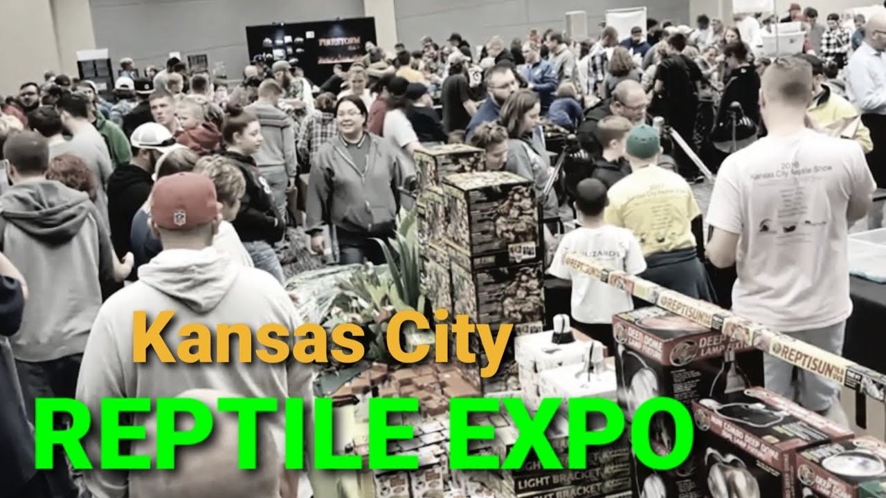 Kansas City Reptile Expo (March 2017) - YouTube