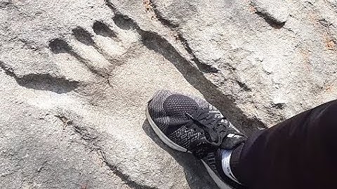 Lại có 1 giáo sư lý giải bàn chân khổng lồ trên núi