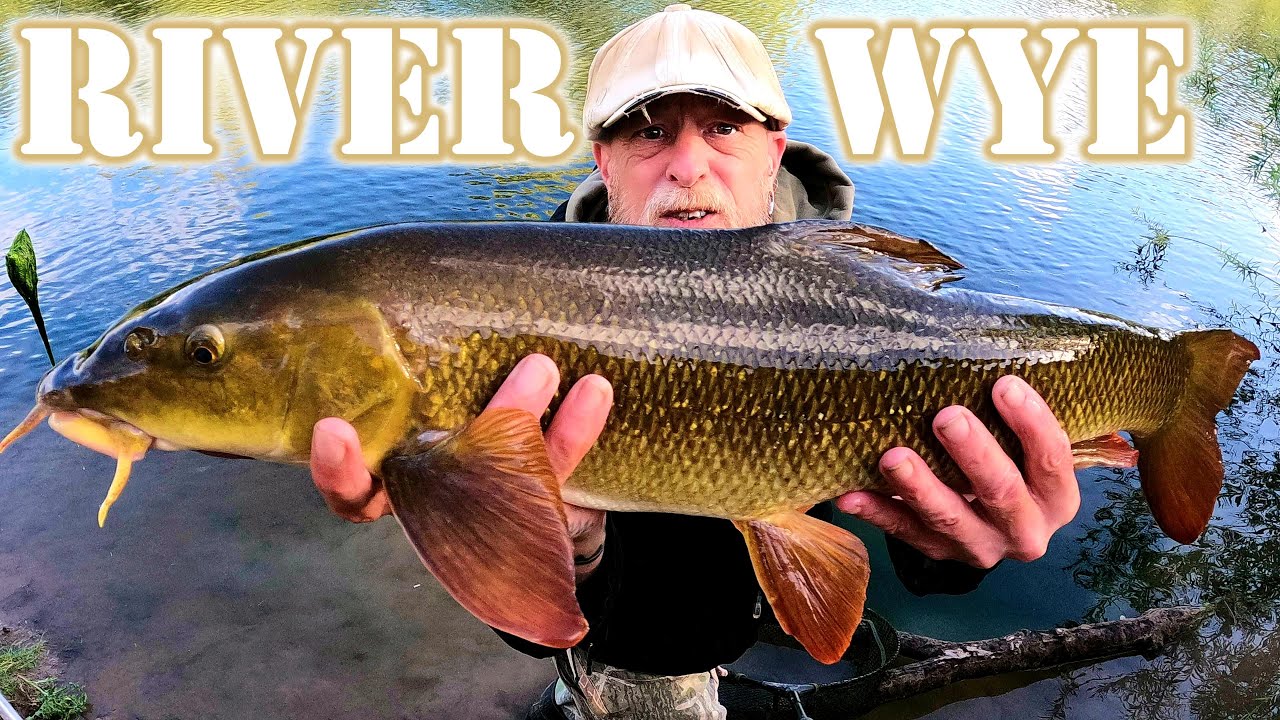 Our First Time Fishing the River Wye Was Epic!