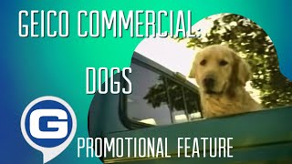 Geico Commercial Dogs promotional Feature 2004