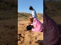 اشترك لمشاهدة هذا الجمل المضحك 🐫*