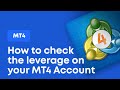 Change MT4 Leverage - YouTube